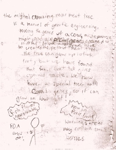 Adina Meat Tree Design p.2